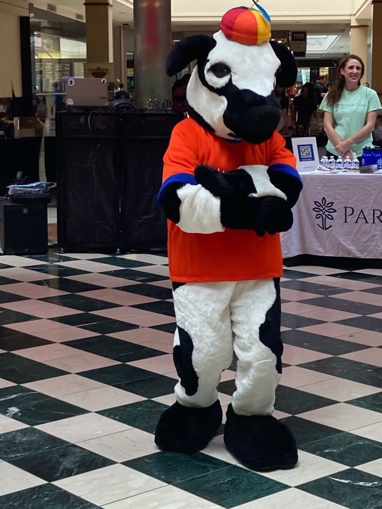Mascot in orange shirt and rainbow cap at an Xtreme Dreams community event